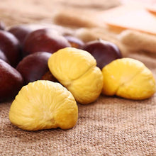 Load image into Gallery viewer, Castanea mollissima 板栗 生 新鲜 迁西板栗 栗子 油栗 燕山 野生小毛栗子5斤生粟子