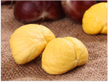 Load image into Gallery viewer, Castanea mollissima 板栗 生 新鲜 迁西板栗 栗子 油栗 燕山 野生小毛栗子5斤生粟子