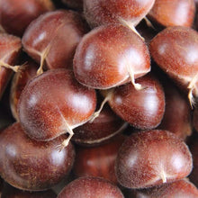 Load image into Gallery viewer, Castanea mollissima 板栗 生 新鲜 迁西板栗 栗子 油栗 燕山 野生小毛栗子5斤生粟子
