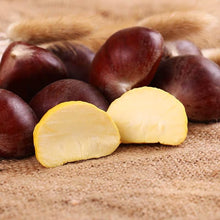 Load image into Gallery viewer, Castanea mollissima 板栗 生 新鲜 迁西板栗 栗子 油栗 燕山 野生小毛栗子5斤生粟子