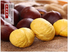 Load image into Gallery viewer, Castanea mollissima 板栗 生 新鲜 迁西板栗 栗子 油栗 燕山 野生小毛栗子5斤生粟子
