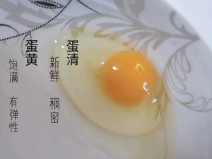 18枚正宗农家散养初生蛋土鸡蛋新鲜草鸡蛋宝宝孕妇月子蛋 18Friendly Buff Orpingtons- Fertile Hatching Eggs from Darling Farm