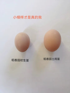 18枚正宗农家散养初生蛋土鸡蛋新鲜草鸡蛋宝宝孕妇月子蛋 18Friendly Buff Orpingtons- Fertile Hatching Eggs from Darling Farm