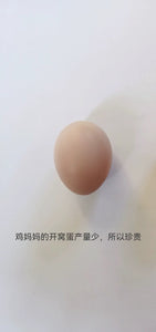 18枚正宗农家散养初生蛋土鸡蛋新鲜草鸡蛋宝宝孕妇月子蛋 18Friendly Buff Orpingtons- Fertile Hatching Eggs from Darling Farm