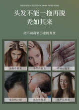 将图片加载到图库查看器，Anti hair loss and nourishing Chinese herbal shampoo ginger hair firming lotion南京同仁堂防脱育发中草药洗发水生姜固发液露官方旗舰店
