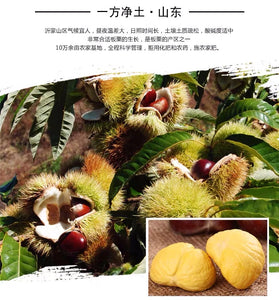 Castanea mollissima 板栗 生 新鲜 迁西板栗 栗子 油栗 燕山 野生小毛栗子5斤生粟子