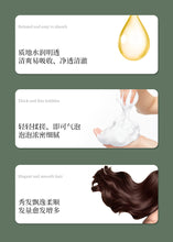 将图片加载到图库查看器，Anti hair loss and nourishing Chinese herbal shampoo ginger hair firming lotion南京同仁堂防脱育发中草药洗发水生姜固发液露官方旗舰店
