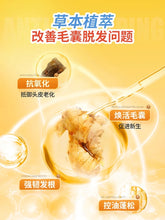 将图片加载到图库查看器，Anti hair loss and nourishing Chinese herbal shampoo ginger hair firming lotion南京同仁堂防脱育生发洗发水中草药生姜正品旗舰店固养发洗头膏
