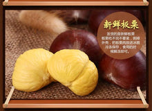 将图片加载到图库查看器，Castanea mollissima 板栗 生 新鲜 迁西板栗 栗子 油栗 燕山 野生小毛栗子5斤生粟子
