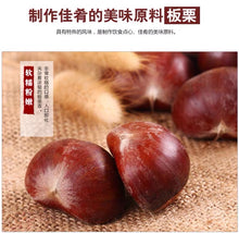 将图片加载到图库查看器，Castanea mollissima 板栗 生 新鲜 迁西板栗 栗子 油栗 燕山 野生小毛栗子5斤生粟子
